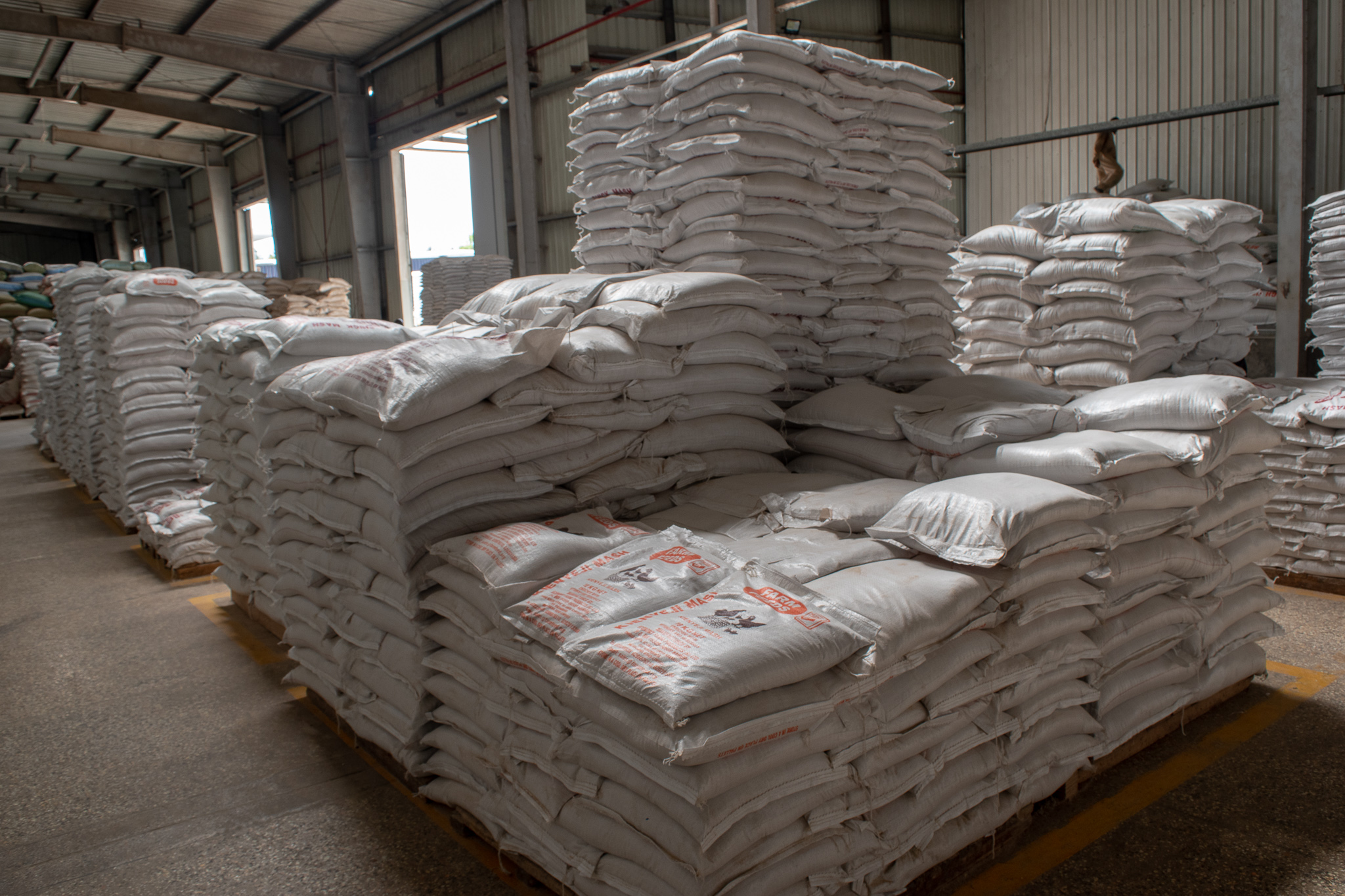 Kenya's Best Farm Feeds